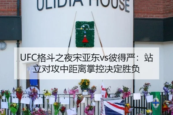 UFC格斗之夜宋亚东vs彼得严：站立对攻中距离掌控决定胜负