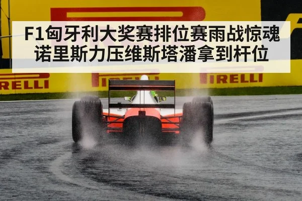 F1匈牙利大奖赛排位赛雨战惊魂 诺里斯力压维斯塔潘拿到杆位